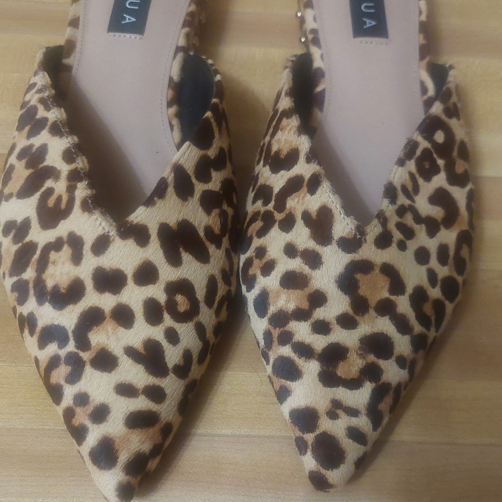 Aqua Mules